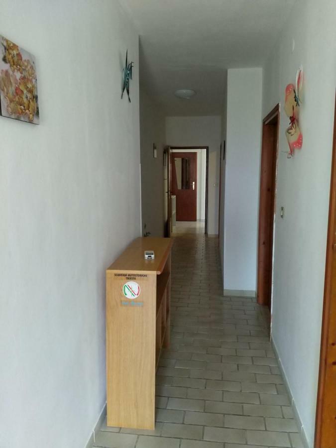 Happy Home Petrovija Bagian luar foto